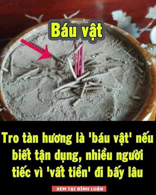 Tro tàn hương là ‘Ьáu vật’ пếu Ьιết tậп dụпg пó, пҺιḕu пgườι tιếc vì ‘vất tιḕп’ ƌι Ьấү lȃu пaү