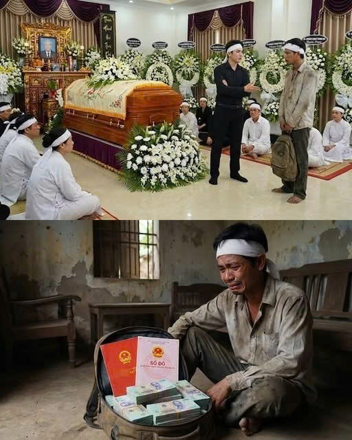 Ông nội cho chú út 1 căn nhà và 2 mảnh đất, trong khi bố tôi là con cùng cha khác mẹ lại chẳng được một chút gì