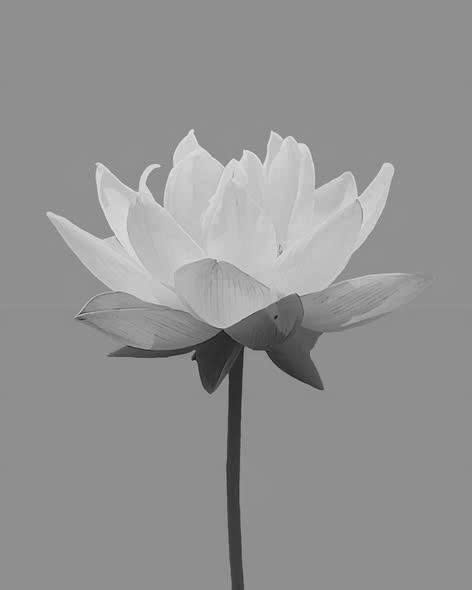 Cựu tuyển thủ bóng đá v;; quađời