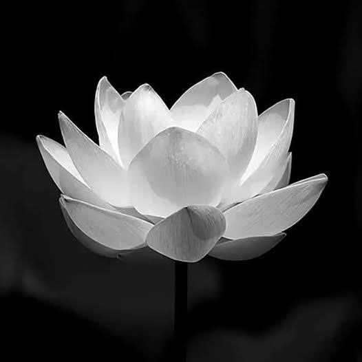 Nghệ sĩ Ưu tú có gương mặt điển trai, lãng tử, qua đời ở tuổi 42 do