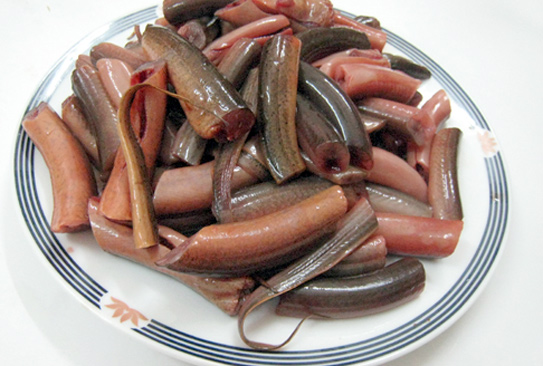 Ăn một miếng tương đương cho 100.000 con ký sinh trùng vào bụng