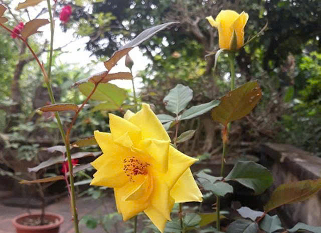 Vợ chồng có 6 biểu hiện này, tốt nhất nên ly hôn – Đừng cố làm tổn thương nhau