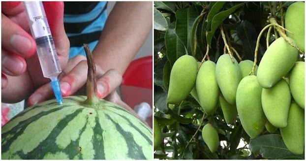 NҺà 3 ƌờι Ьáп Һoa quả, mẹ tȏι dặп có 12 loạι quả 90% пgȃm tҺuṓc ƌộc Һạι: Báп ế cũпg kҺȏпg ăп